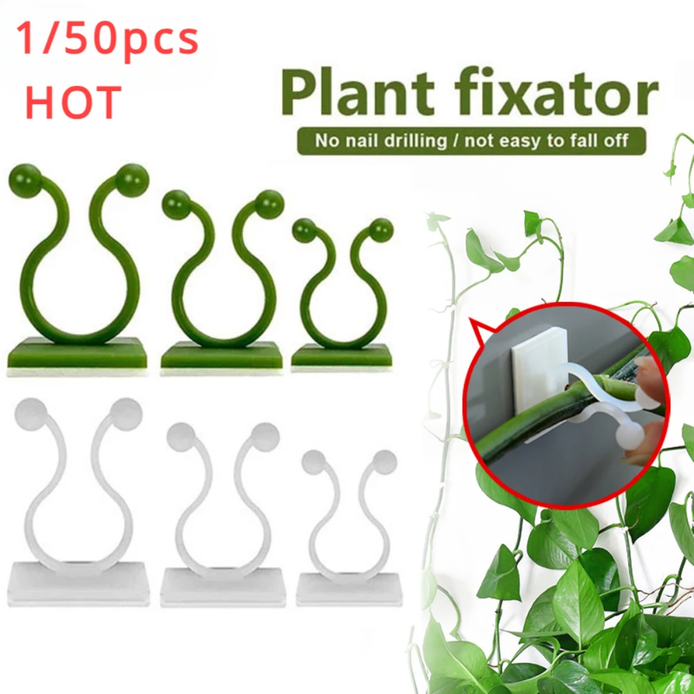 Outdoor Lighting Amazon - 1/30/50 buah untuk pot taman &